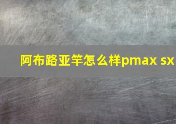 阿布路亚竿怎么样pmax sx